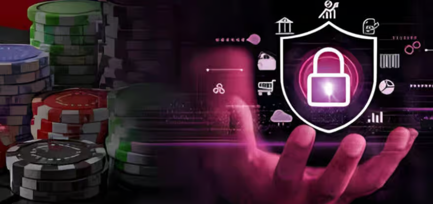 먹튀검증 사전예방